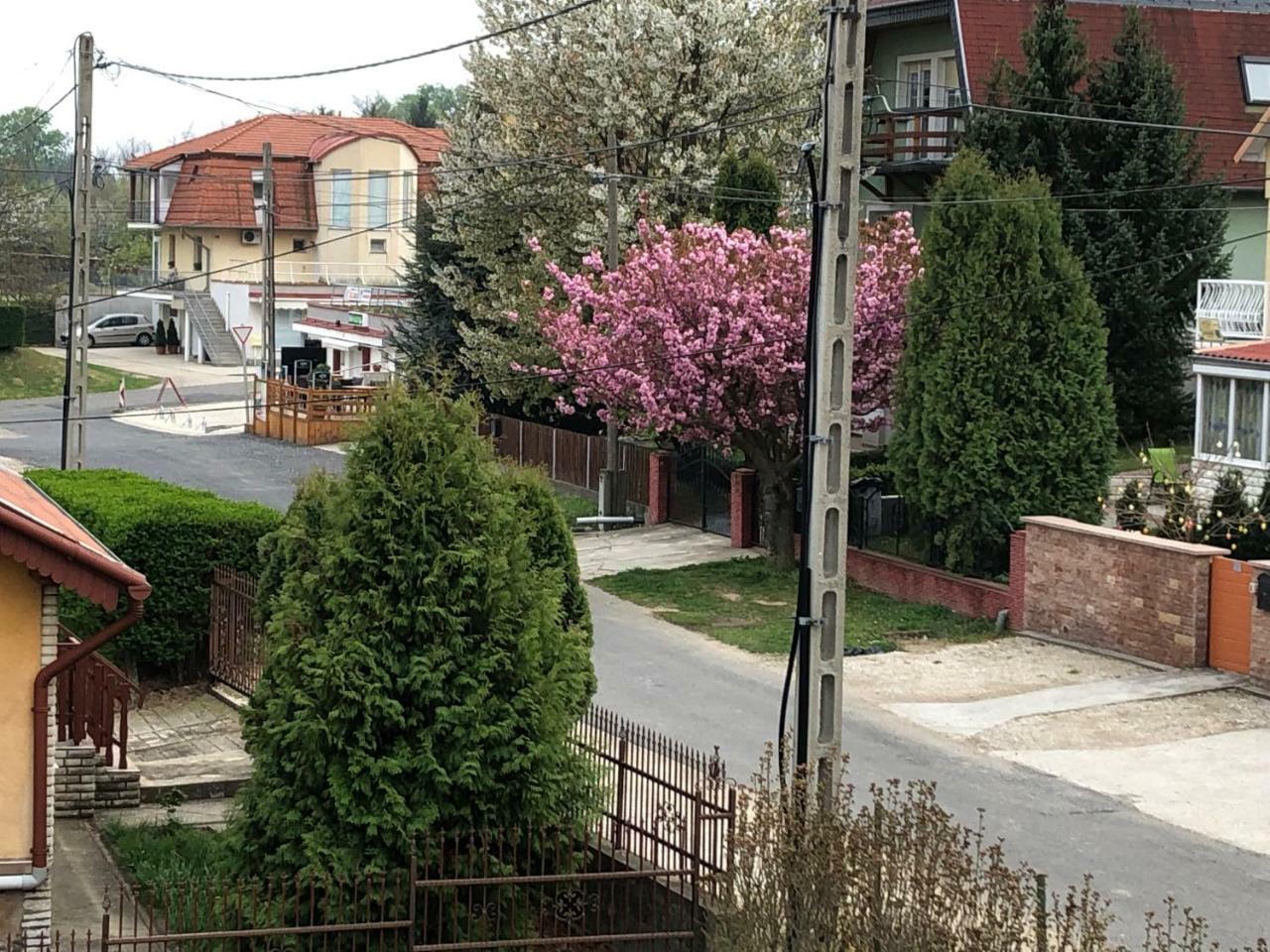 Jozsef Apartments House Zalakaros Eksteriør bilde